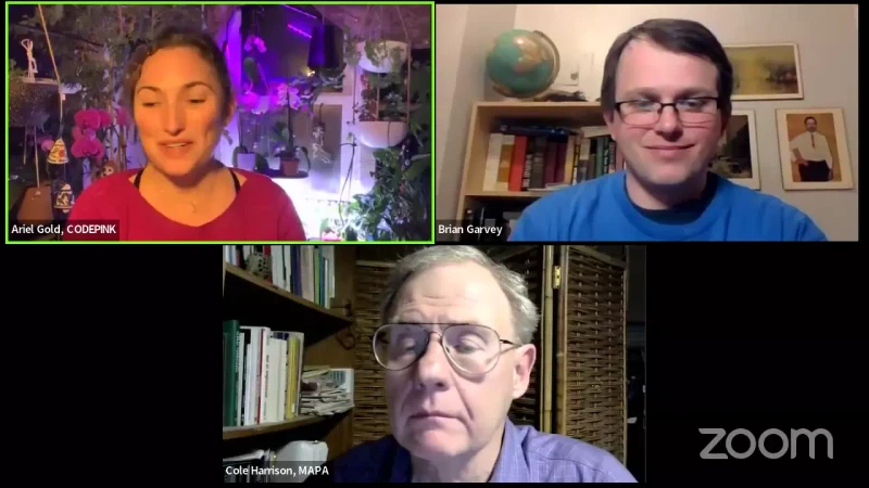 CODEPINK Webinar “Resisting Attacks on Palestinian Human Rights Activists” YouTube Feb 15 2022_Cynthia Franklin Demonizes Zionism and Supports March of Return.mp4_#44